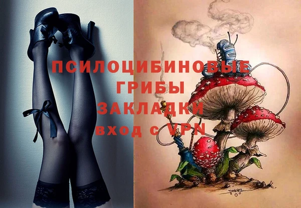 гидра Балабаново