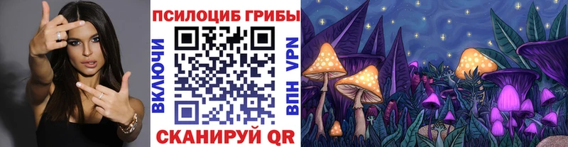 Галлюциногенные грибы мухоморы  где купить наркотик  Верхний Уфалей 
